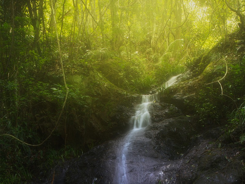 細(xì)水長流，持續(xù)學(xué)習(xí)，忘我工作，共建臻美臨臨——讀《細(xì)水長流，忘我工作，重建美麗家園》有感