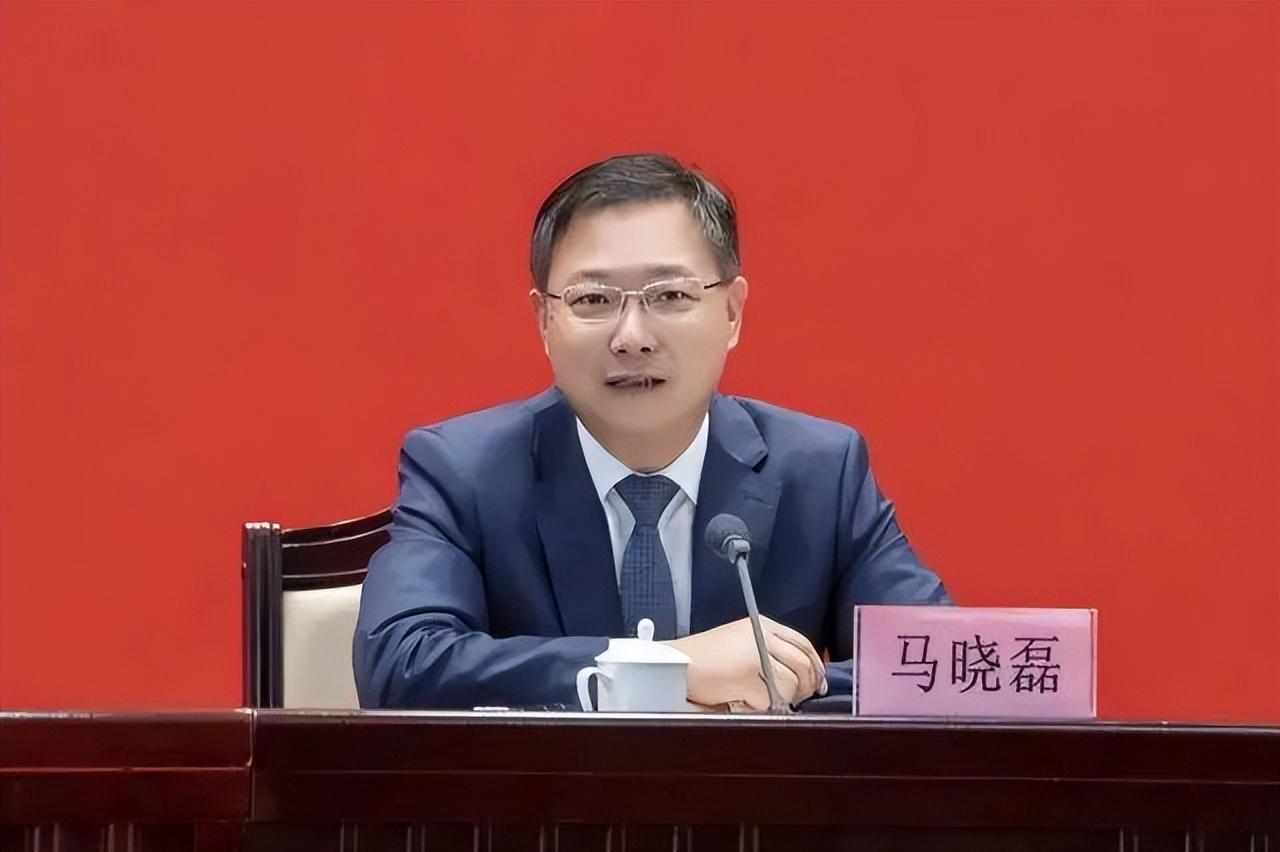 市委書(shū)記馬曉磊在全市企業(yè)家座談會(huì)上的講話