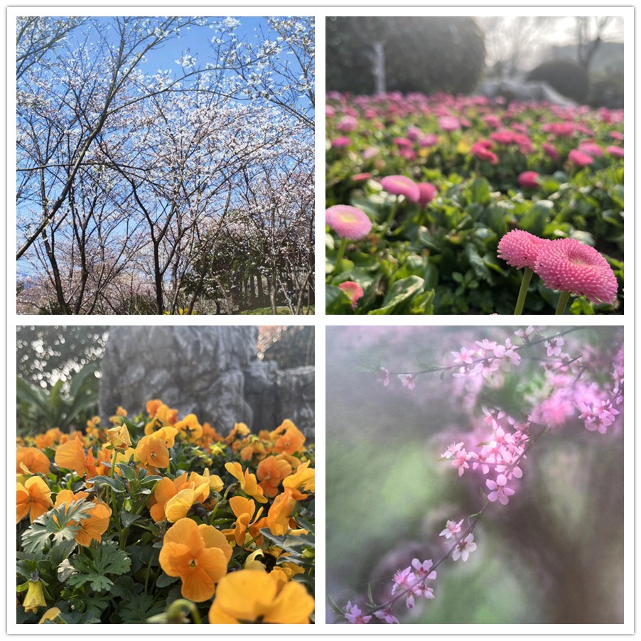 【女神節(jié)專題】一路走來(lái)一路拍——于金瀅攝影集之打卡玄武湖、中山陵