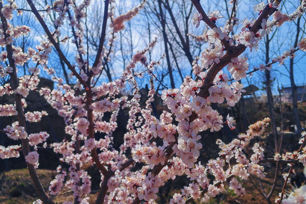 關(guān)于春天：微風(fēng)，野花，風(fēng)箏，還有好久不見(jiàn)的你