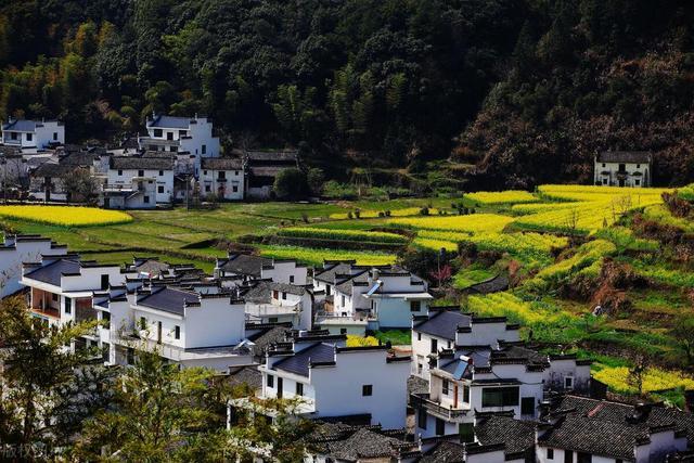 《我的阿勒泰》敲開了心房，心房的最深處有屬于自己的鄉(xiāng)愁