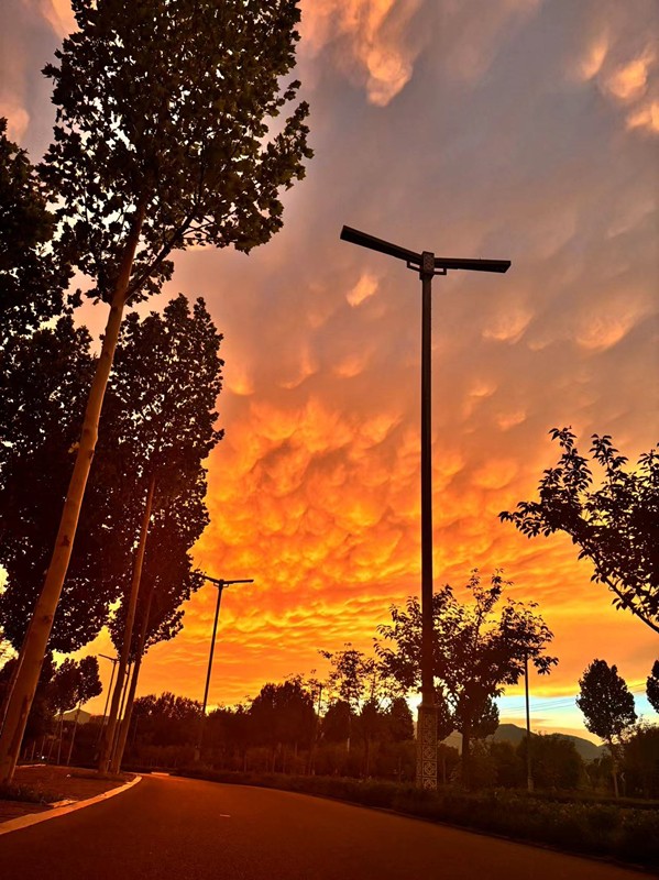 ec6049d3c361d0b7809ff2a3c64efc0_副本