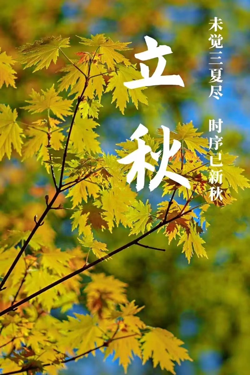 立秋風(fēng)起，心自清涼