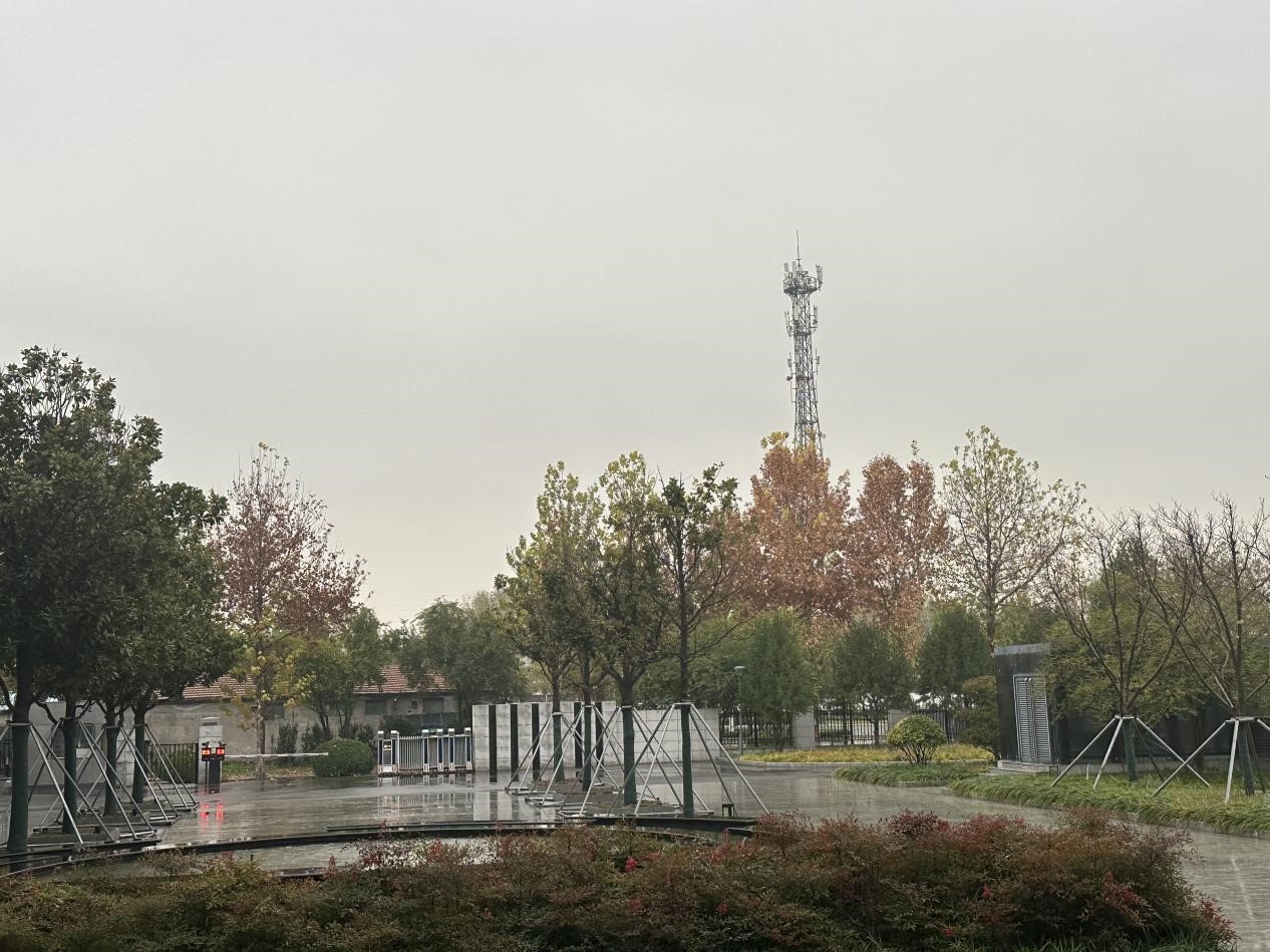 冬雨之韻，生活之色