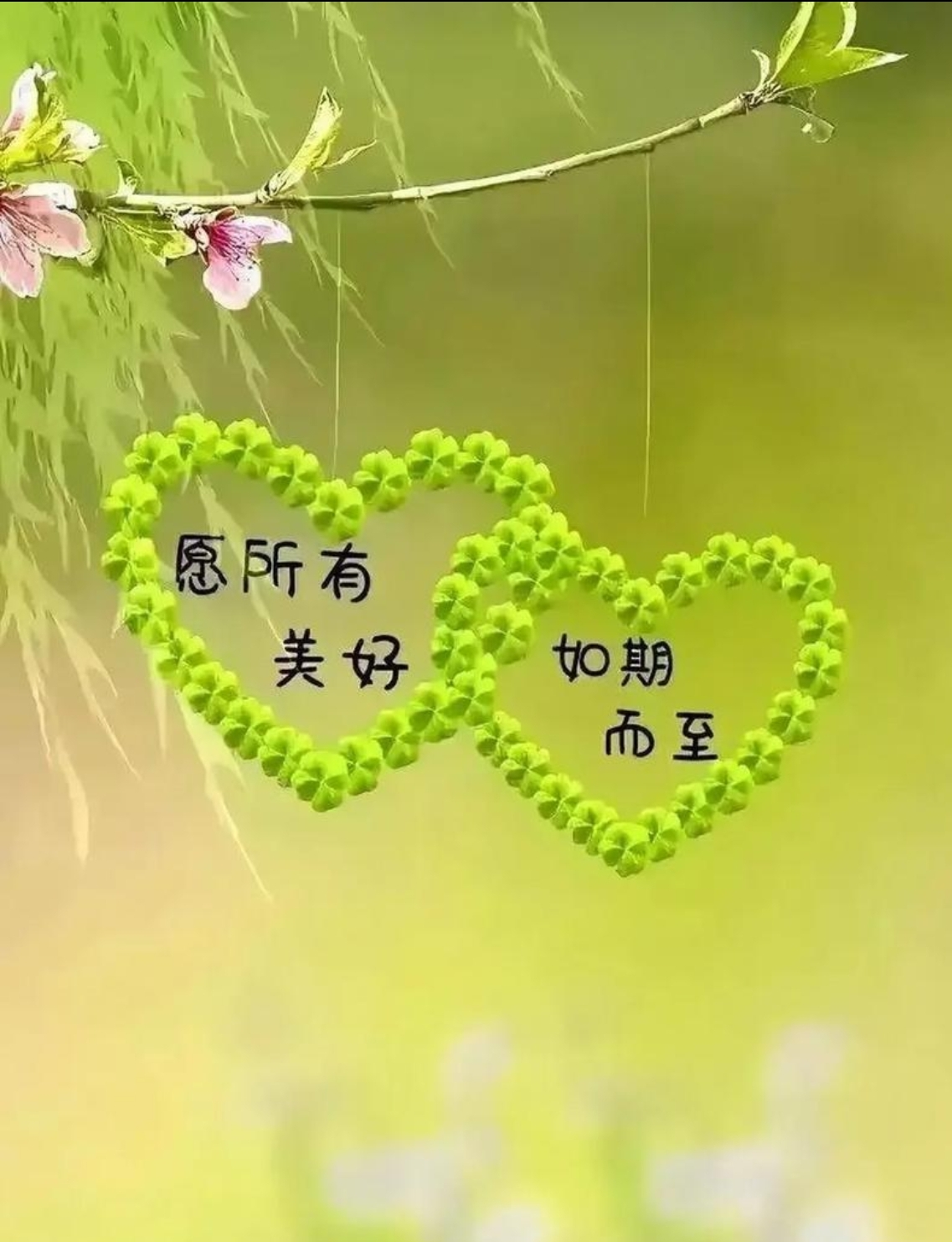 廿載情誼，重逢見(jiàn)暖陽(yáng)