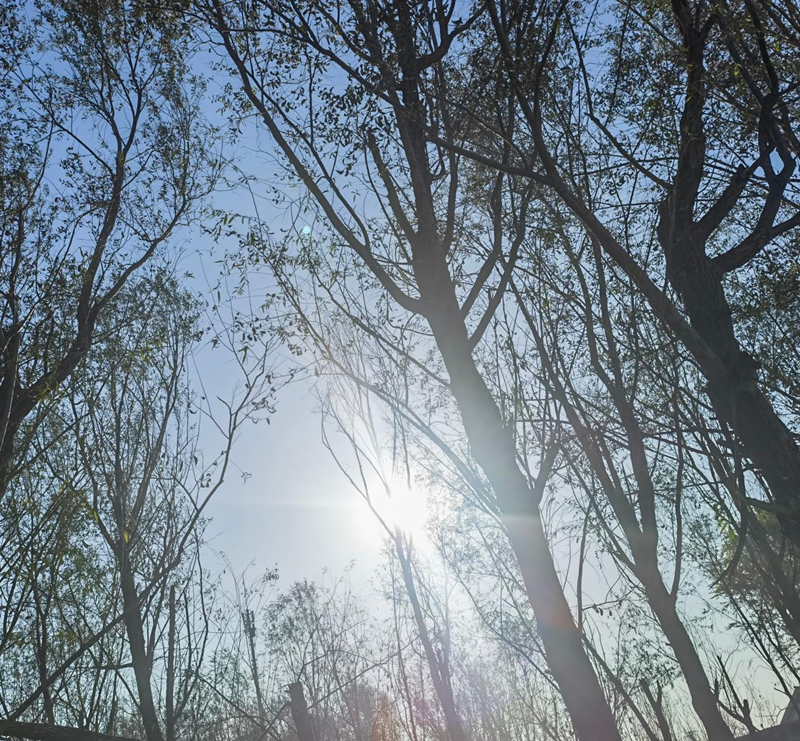 圖片1(1) 圖片1(1)