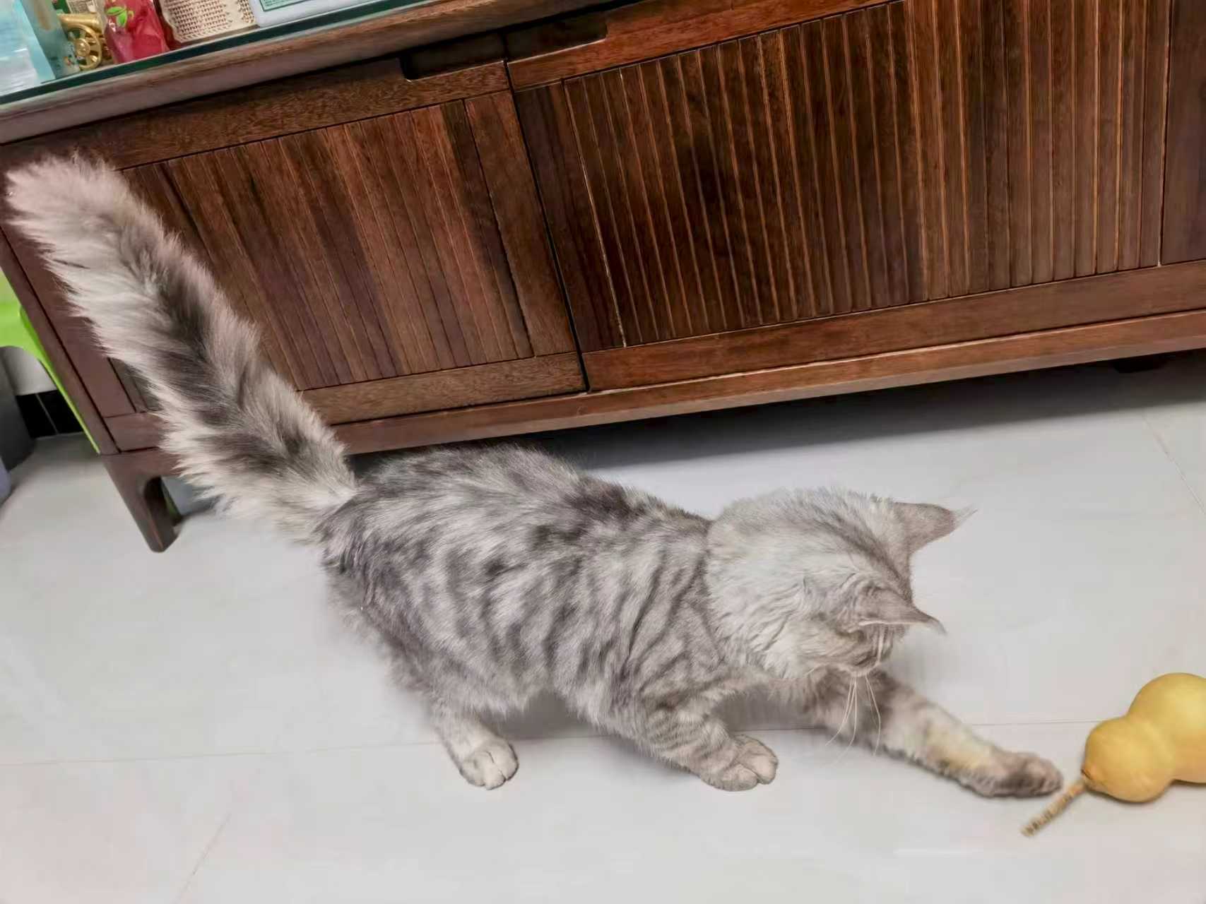 借來的時光，真實(shí)的溫暖