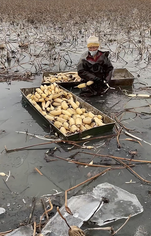 圖片3_副本 圖片3_副本