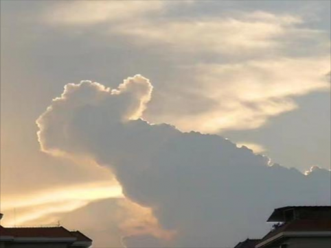 心態(tài)決定成敗