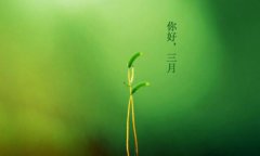 你好，三月！