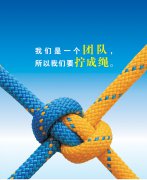 從人力資源部看團(tuán)結(jié)，淺談對(duì)團(tuán)隊(duì)的理解