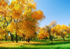 擺正心態(tài)，積極面對(duì)