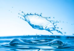 大醫(yī)無為治未病，潤物知時細無聲 ——談?wù)勎覀兊墓局卫砼c項目管理