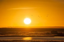 明天會(huì)更好