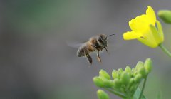 以辛勤勞動(dòng)為榮，以好逸惡勞為恥