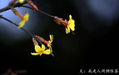 春分將至，我在等你——致徐徐爬行的你