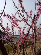 春季“行動(dòng)時(shí)”