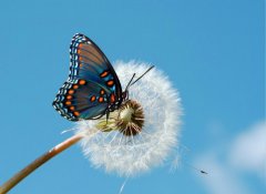 改變，從魯中公路開(kāi)始