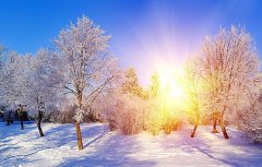 因?yàn)橛心?，這個(gè)冬天很溫暖