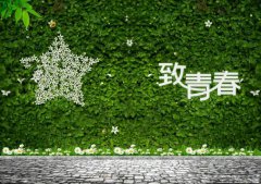 做好青春事，無悔公路情