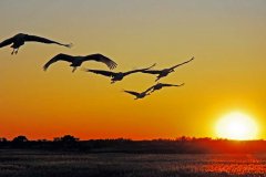 快樂工作， 微笑生活