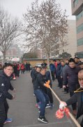 由拔河運動看團(tuán)隊的力量
