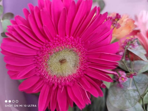 三八節(jié)，我們的女神節(jié)