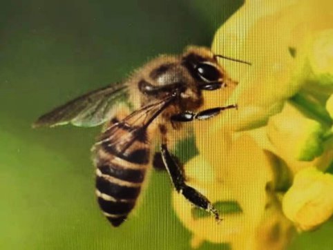 給誰打工？——從“抓作風(fēng) 創(chuàng)效益”想到的