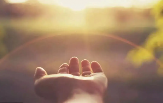 萬(wàn)般皆苦，何以幸福