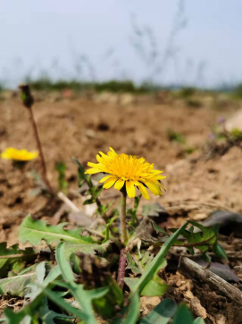 滿懷希望，走向未來(lái)