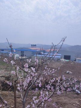 春天的臨臨項(xiàng)目部